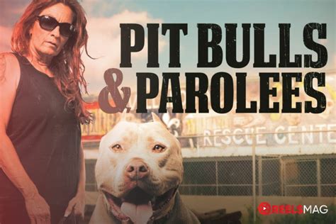 Watch Pit Bulls & Parolees .